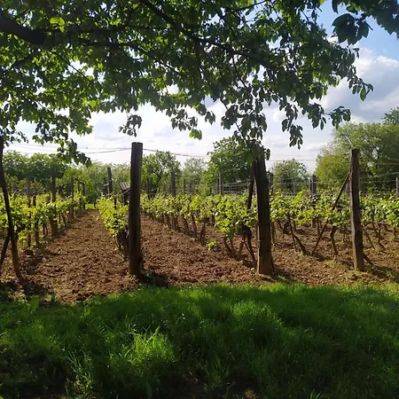 Stueble Loft Holiday home