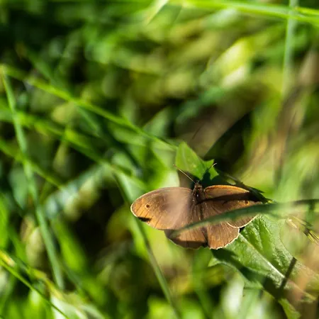 Holiday home Stueble Loft