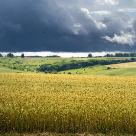 Holiday home Stueble Loft *