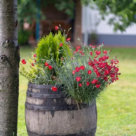 Stueble Loft Holiday home