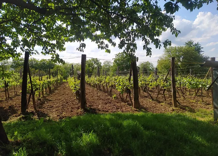 Stueble Loft Semesterbostad