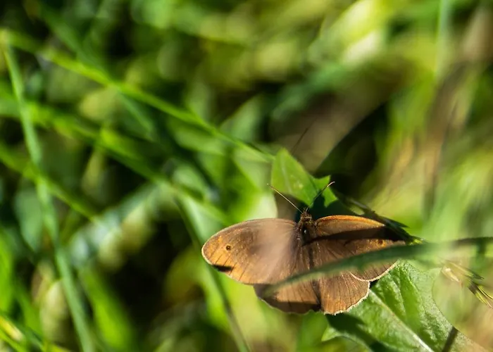 Semesterbostad Stueble Loft